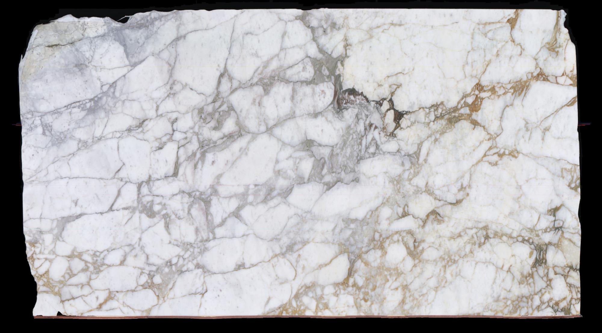 CALACATTA MONET Fourniture Veneto (Italie) d' dalles polies en marbre naturel 1767 , Slab #111 
