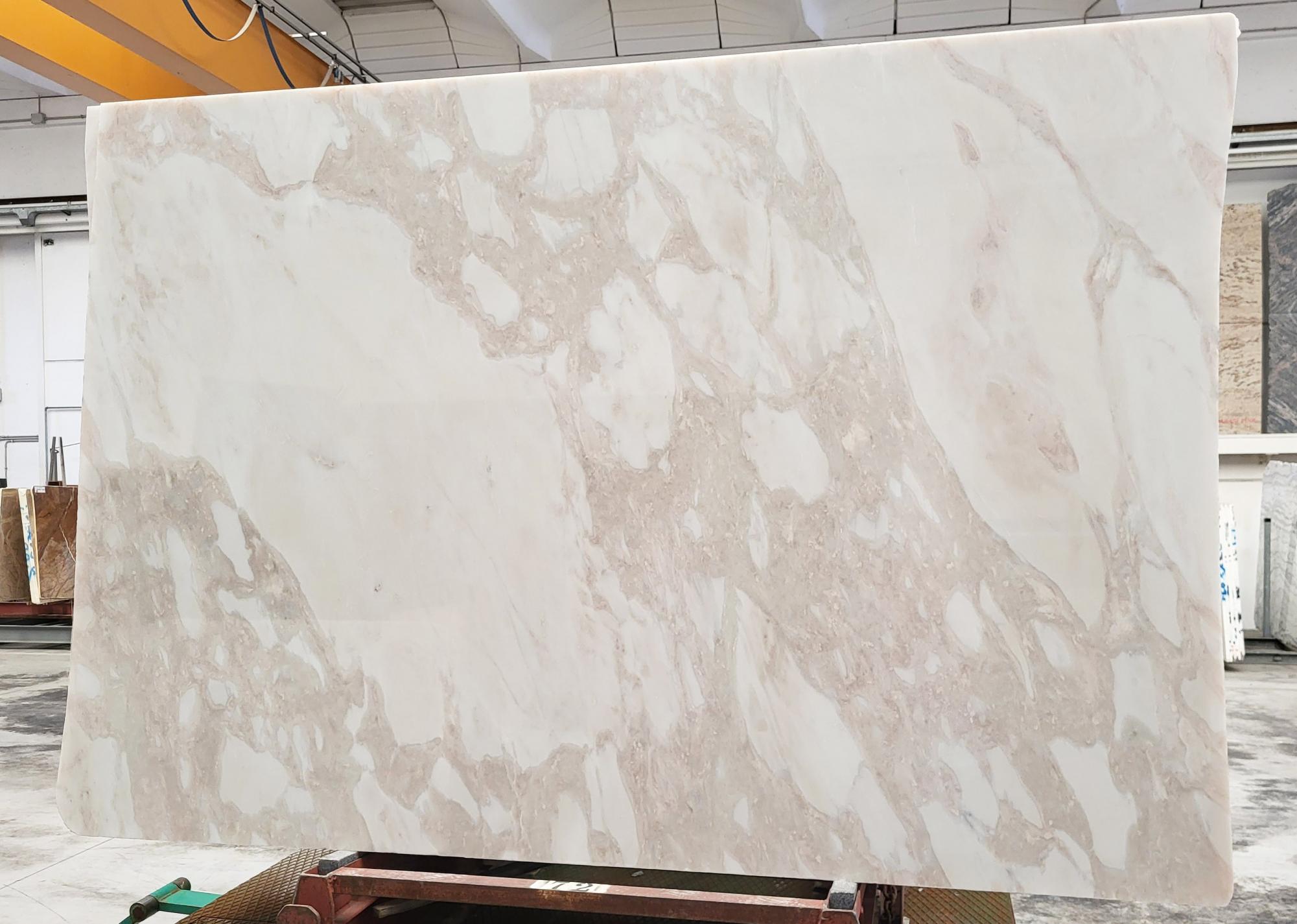 CIPRIA Fourniture Veneto (Italie) d' dalles brillantes en marbre naturel GX18232 , Slab #18 