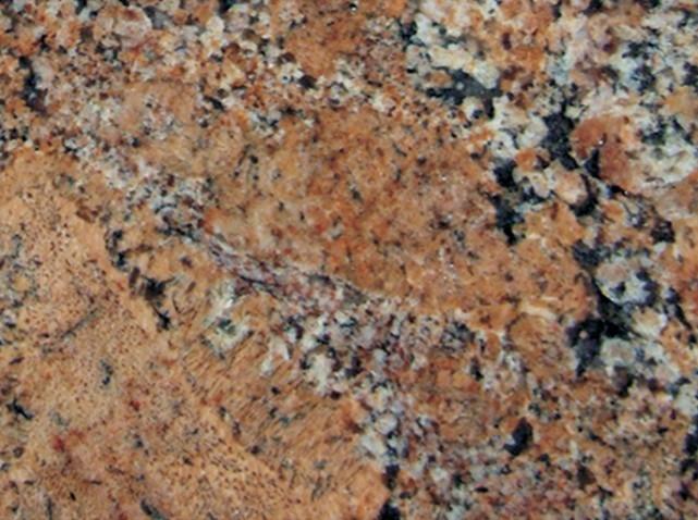 Détaille technique: BORDEAUX, granit naturel brillant brésilien 